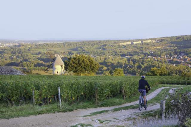 Hôtel pas cher à Beaune près des Vignes à Beaune